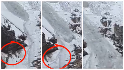 Avalanche at Traill's Pass