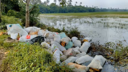 plastic waste paddy field