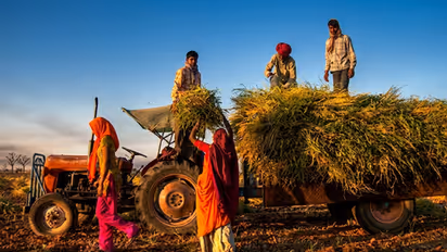 Punjab Farmers
