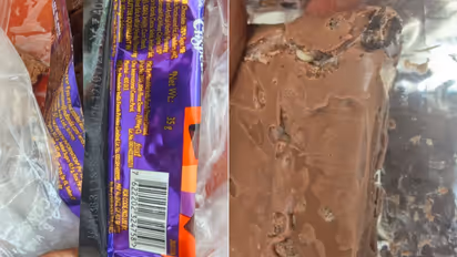 chocolate worm