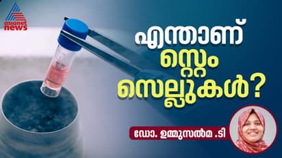 stem cell