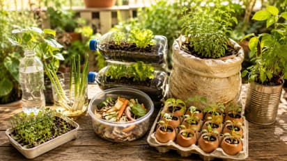 Zero Budget Gardening