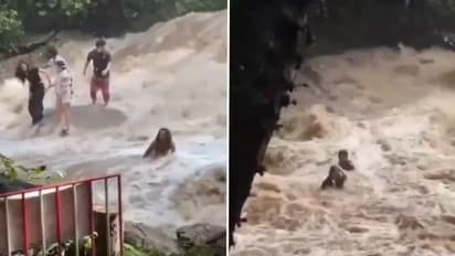 Tourists Ignore Warning Signs For Selfies, Get Swept Away By Sudden Flash Flood At Waterfall