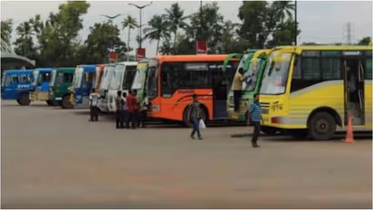 BUS