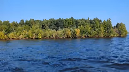 Floating Island