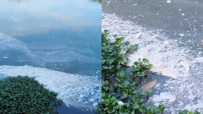 waste in the Periyar River