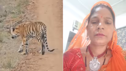 Tiger attacked and killed woman