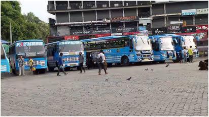 private bus