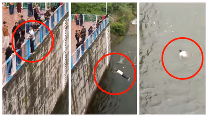 man Jumped from 30 feet into dam