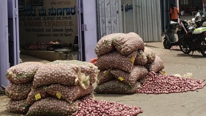 Karnataka Onion Market