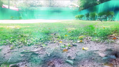 Bengaluru lalbagh tennis court