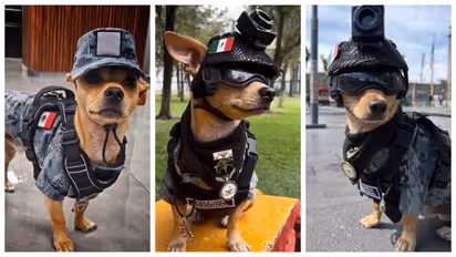Mexico's National Guard's Commando