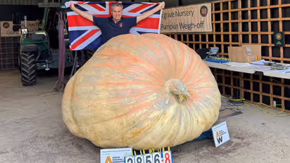 world's heaviest pumpkin