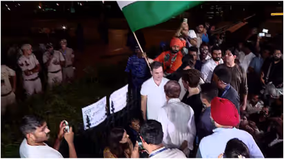 rahul gandhi india gate protest