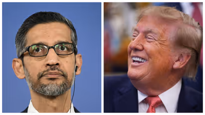 Sundar Pichai and donald trump