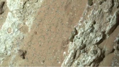 nasa perseverance mars rover takes sample from cheyava falls