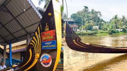 st george snake boat confiscated 