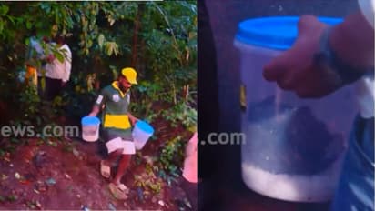 Dharmasthala Banglegudde