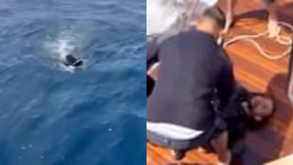 man rescued from sea rubber ring and flippers