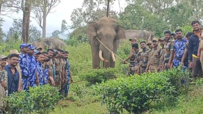 ovali balakrishnan nilgiri