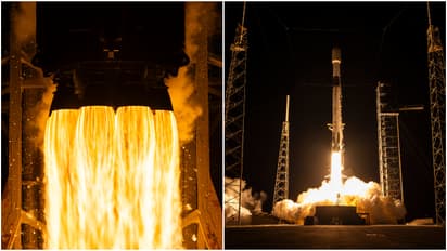 starship 11th test flight