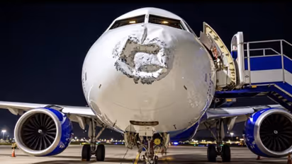indigo flight lightning