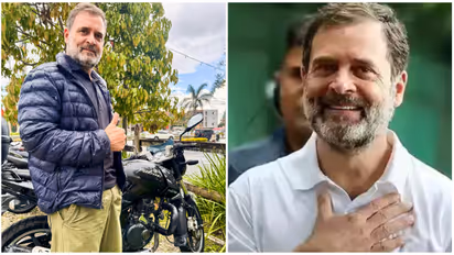 rahul gandhi pulsar