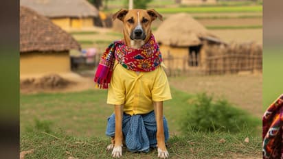 Dog babu son of kutta babu