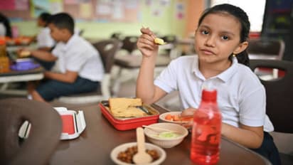 easy fast school tiffin box ideas from kerala