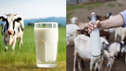 World Milk Day