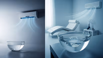 Why keep water bowl in air-conditioned room