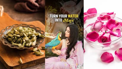 rose petal elaichi water upay for money and prosperity by jai madaan