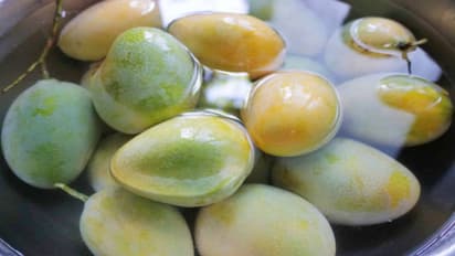 always soak mangoes in water before eating discover the benefits