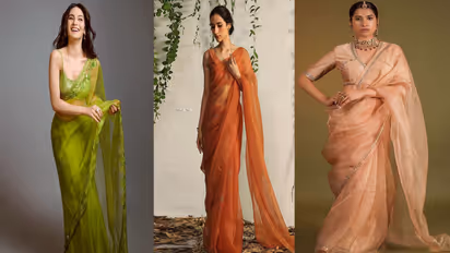 Saree designs Idea