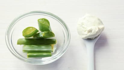 aloe vera vs malai which natural remedy works best for glowing skin
