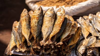 dried fish in your diet is good or not