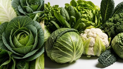 Top vegetables not to eat during rainy season