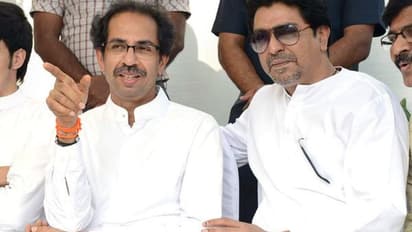 uddhav and raj thackeray