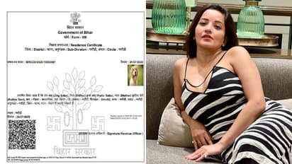 Motihari fake residence certificate