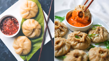 Momos vs Dumplings 5 Major differences