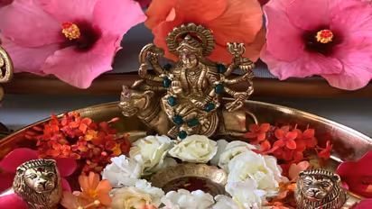 Navratri 2025 Gudhal flower remedies