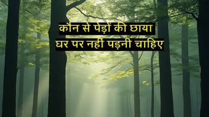 Unlucky trees near house