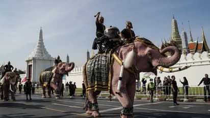 Queen Sirikit tribute