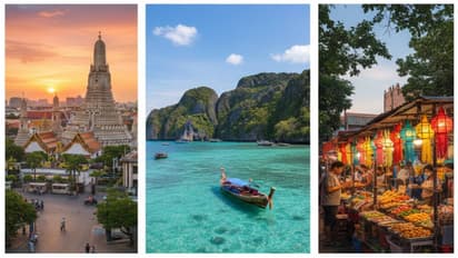 Celebrate New Year 2026