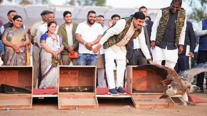 CM Mohan Yadav Vultures Conservation