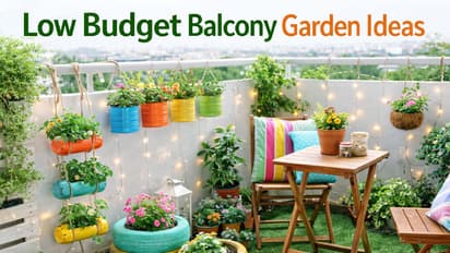 low budget balcony garden