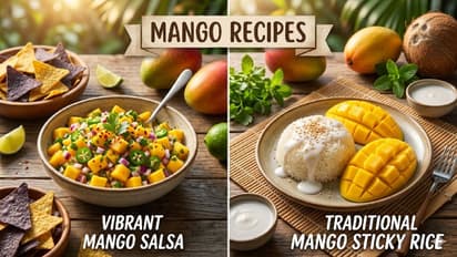 Mango Recipes for Summer