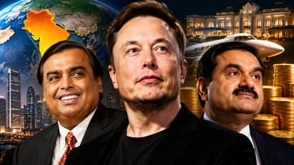 elon musk networth