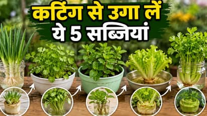 Home Gardening Tips