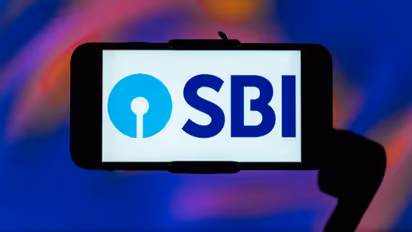 SBI IPO